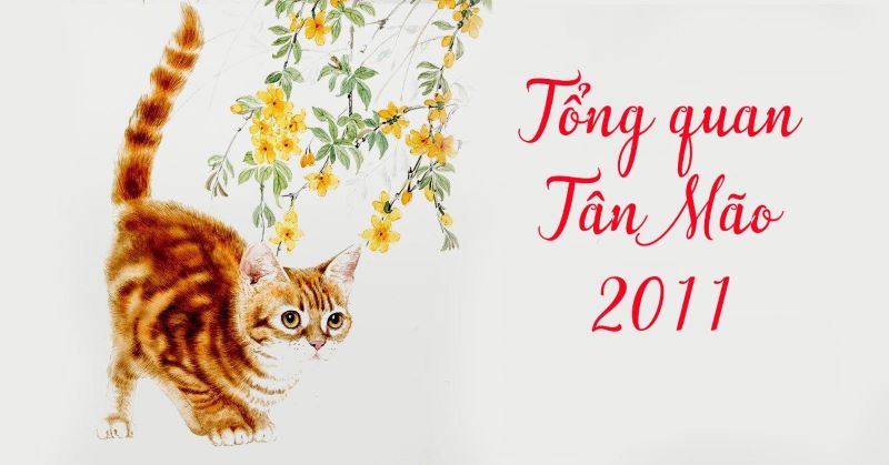 Người tuổi Tân Mão sinh năm 2011 gặp tam tai năm nào