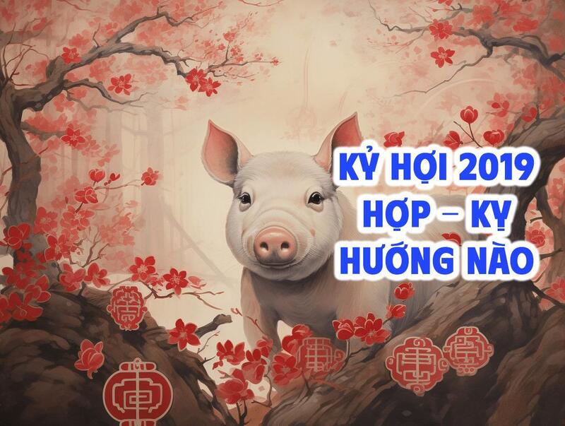 Sinh năm 2019 hợp, kỵ hướng nào