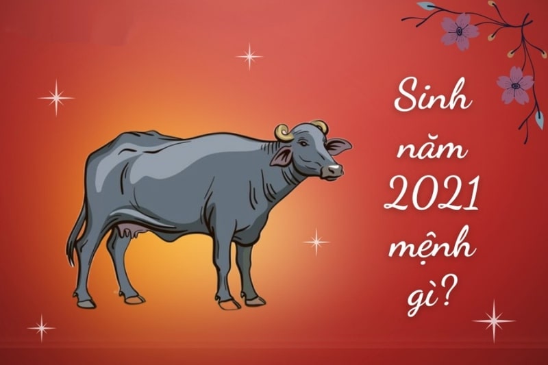 Người sinh năm 2021 là mệnh gì