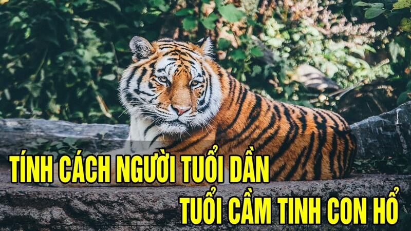 Tính cách Nam tuổi Nhâm Dần 2022