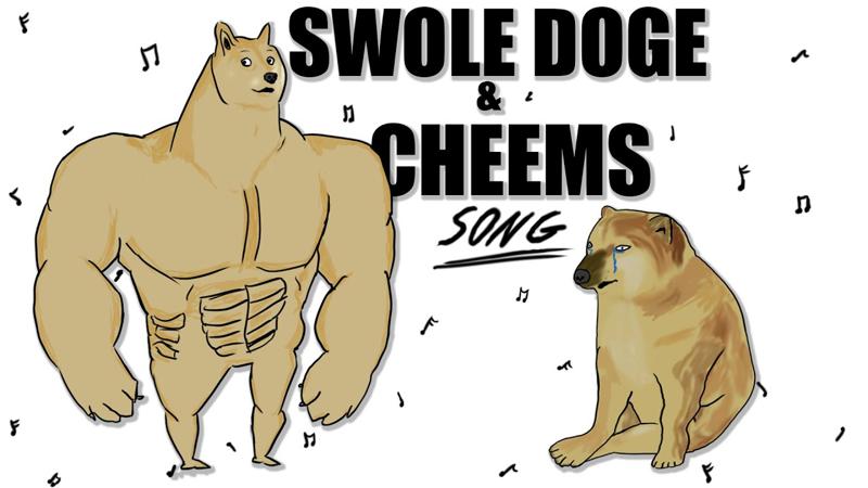 Cheems với nền Swole Doge vs Cheems