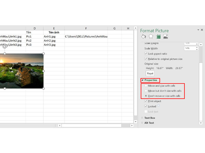 Hướng dẫn chèn ảnh cố định vào ô trong Excel bước 2