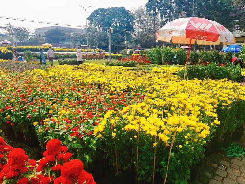 Chợ hoa xuân công viên Gia Định Sài Gòn