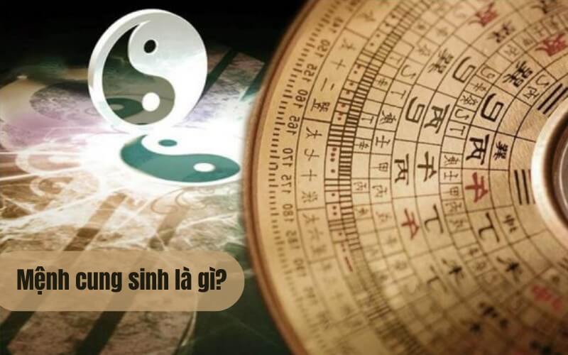 Mệnh cung sinh là gì