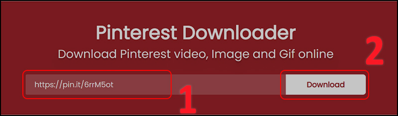 Hướng dẫn lưu video trên Pinterest bằng web pinterestdownloader.com bước 2