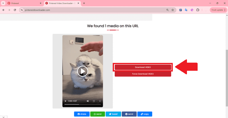 Hướng dẫn lưu video trên Pinterest bằng web pinterestdownloader.com bước 3