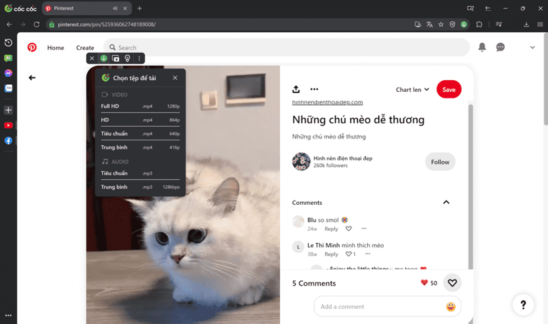 Tải video Pinterest đơn giản bằng trình duyệt Cốc Cốc bước 3