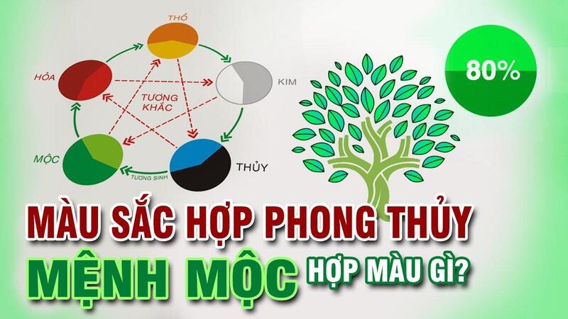 Màu tương hợp với mệnh Mộc