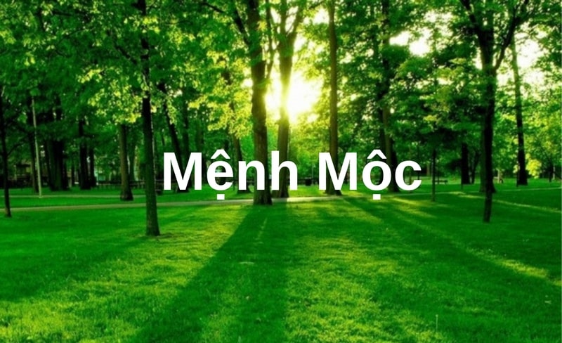 Mệnh Mộc hợp mệnh gì