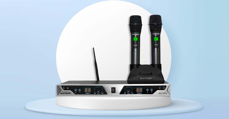 Micro thương hiệu Guinness