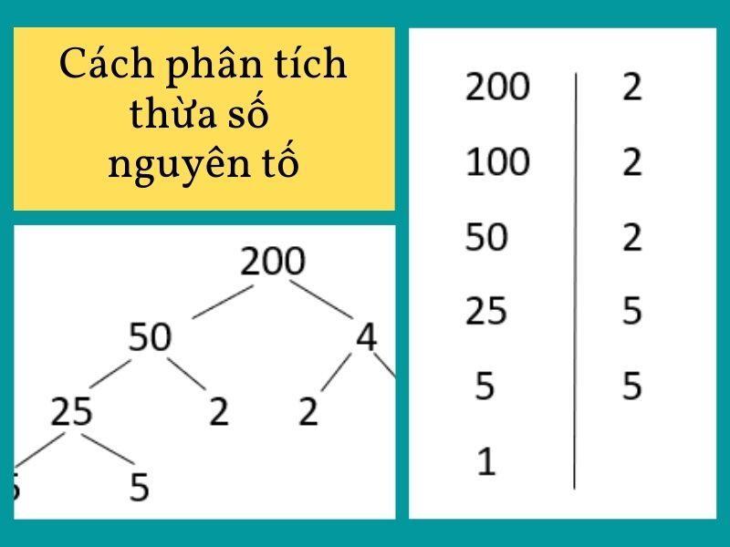  Dạng bài phân tích thừa số nguyên tố