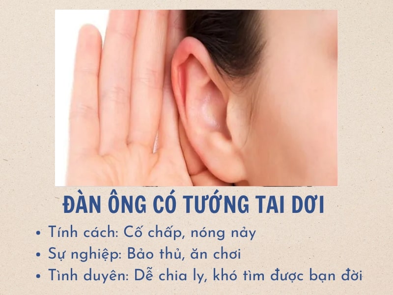 Tính cách, vận mệnh của tướng đàn ông tai dơi 