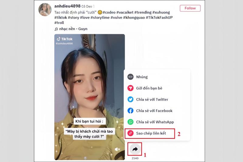 tải video TikTok trên máy tính không có ID và logo bước 2