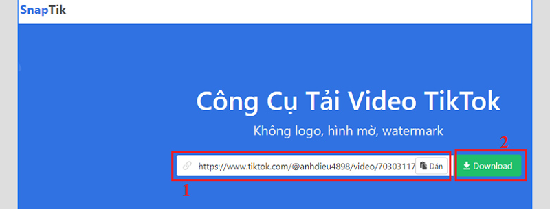 tải video TikTok trên máy tính không có ID và logo bước 3