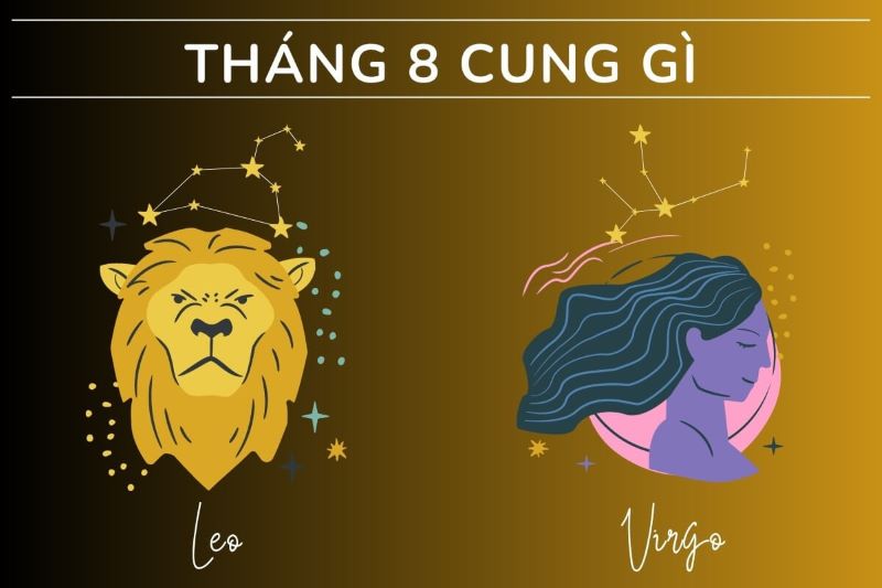 9 Cung Gì: Khám Phá Sâu Về Tính Cách Và Vận Mệnh Của Bạn