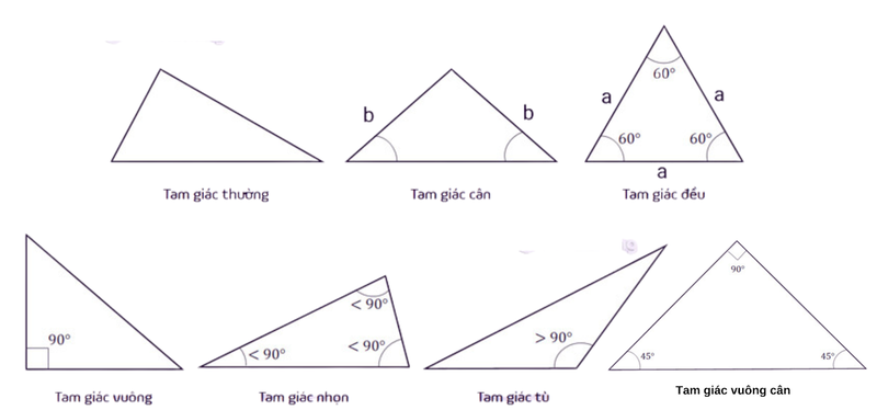 Tổng quan về hình tam giác