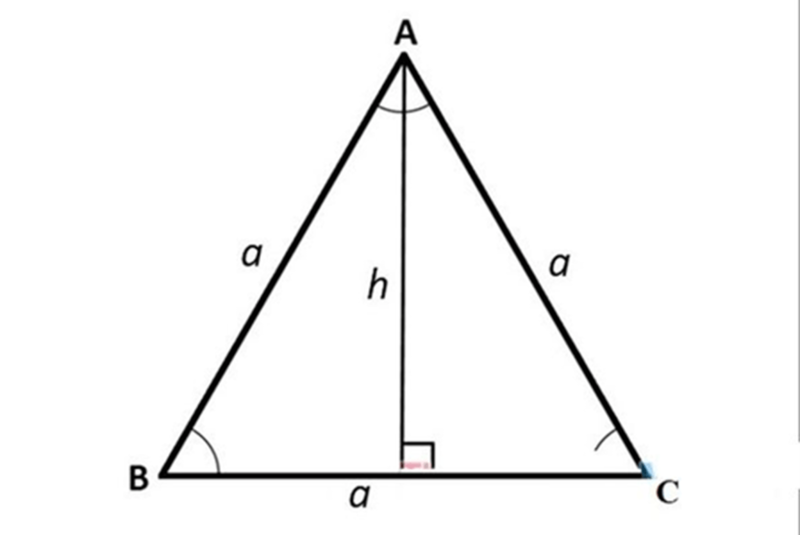 Cách tính diện tích tam giác đều khi biết độ dài một cạnh