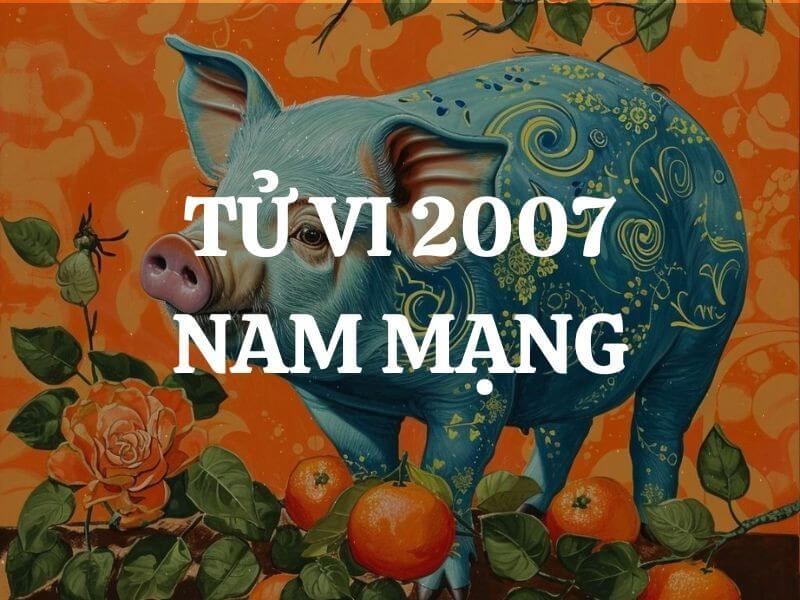 Tử vi năm 2025 tuổi Đinh Hợi