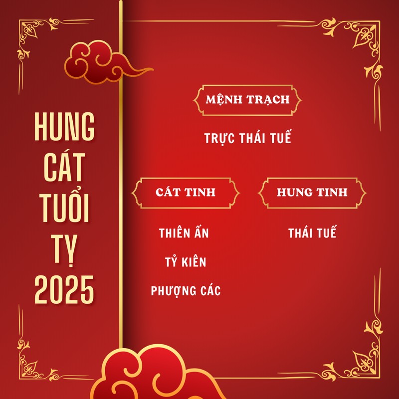 Tổng quan tử vi tuổi Tỵ 2025