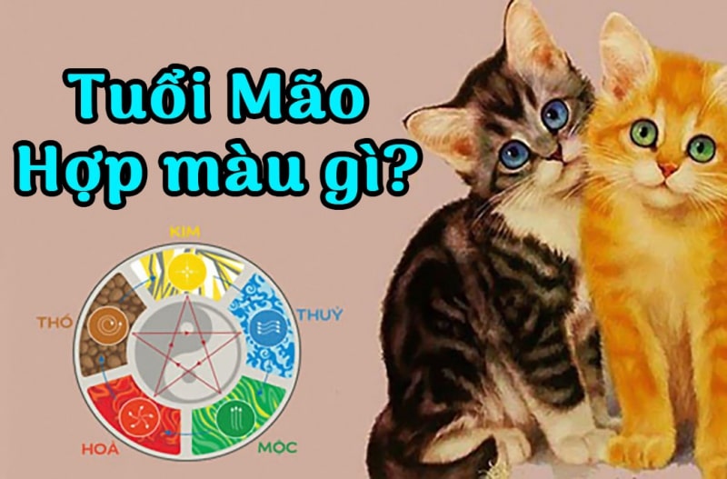  Màu sắc kỵ với tuổi Mão