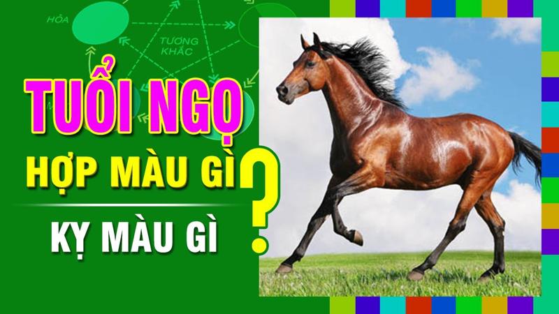  Người tuổi Ngọ mệnh Thuỷ