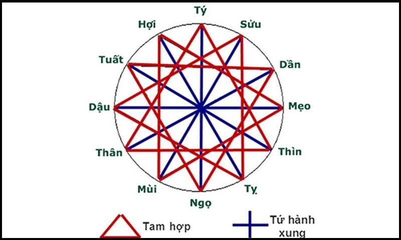 Tuổi hợp với tuổi Tỵ 