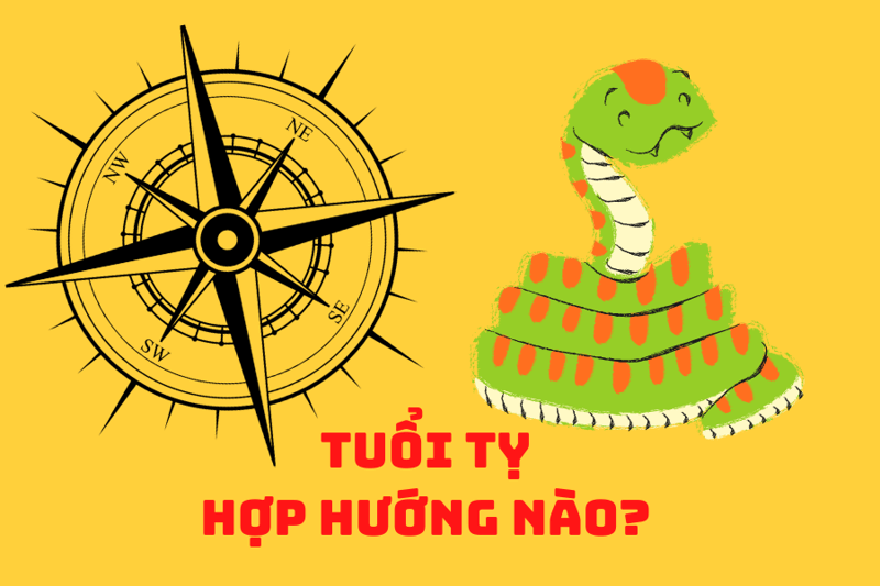 Người tuổi Tỵ hợp và kỵ hướng nào