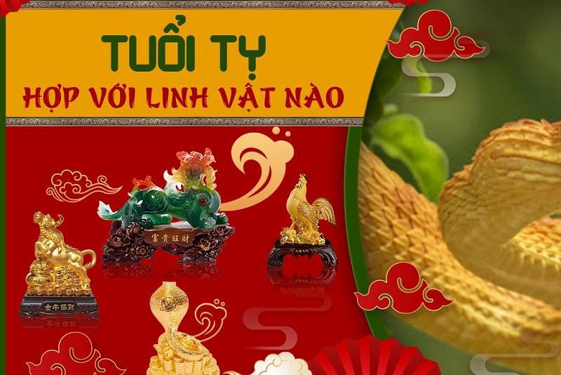 Vật dụng hợp phong thủy cho người tuổi Tỵ