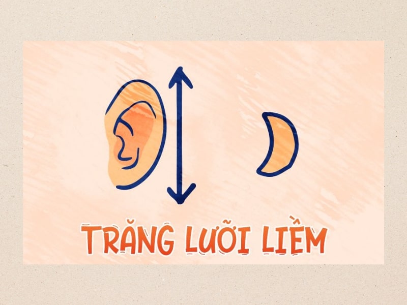 Tướng tai hình lưỡi liềm