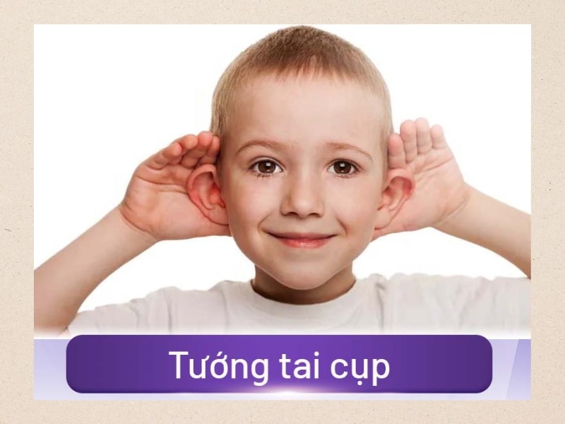  Tướng tai cụp