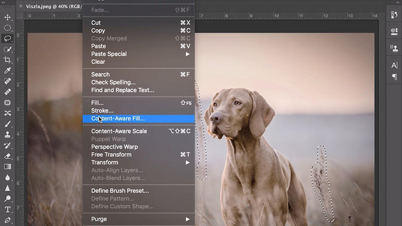 Sử dụng ứng dụng Adobe Photoshop bước 3