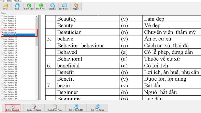 Xóa bớt trang trong PDF bằng PDF Page Delete bước 3