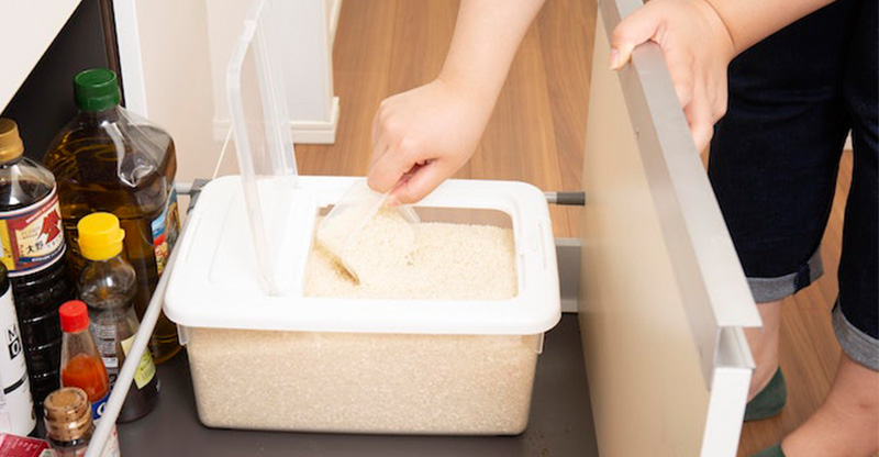 Nên mua sắm thùng đựng gạo loại nào là chất lượng tốt mang lại gia đình?