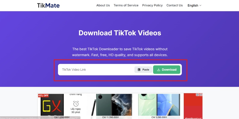 Truy cập trang Tikmate, dán link rồi bấm tải về