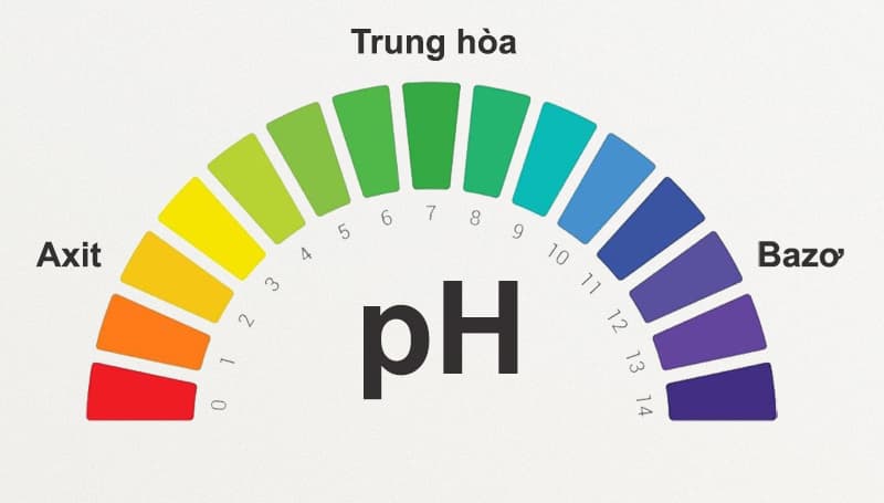 Thang đo độ pH tiêu chuẩn từ 0 đến 14