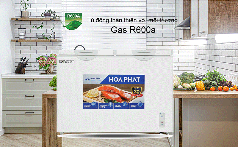 Tủ đông thân thiện với môi trường nhờ sử dụng gas R600a