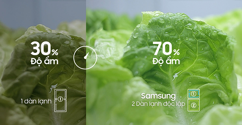 Tủ lạnh Samsung 2 dàn lạnh độc lập bảo quản thực phẩm tươi ngon gấp 2 lần so với tủ lạnh thông thường.