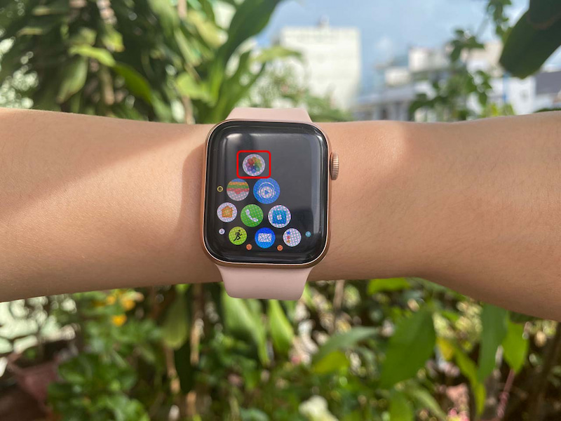 Xem ảnh chụp màn hình Apple Watch trên đồng hồ