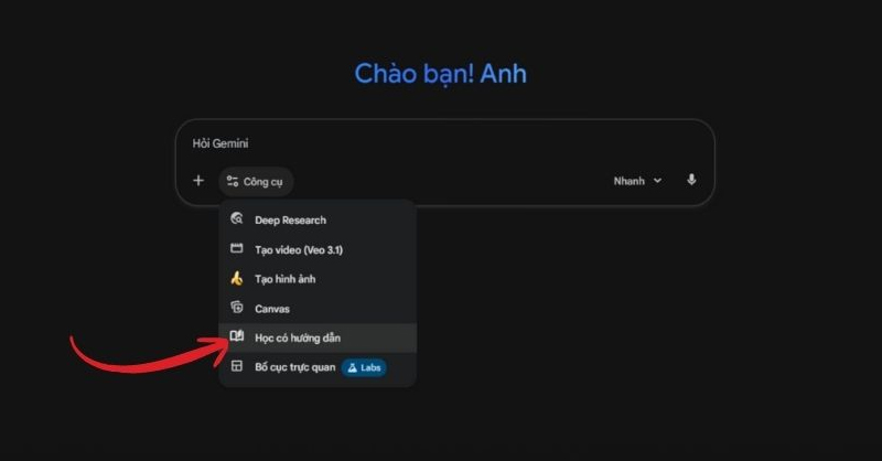 Chọn Học có hướng dẫn trong mục Công cụ của Gemini