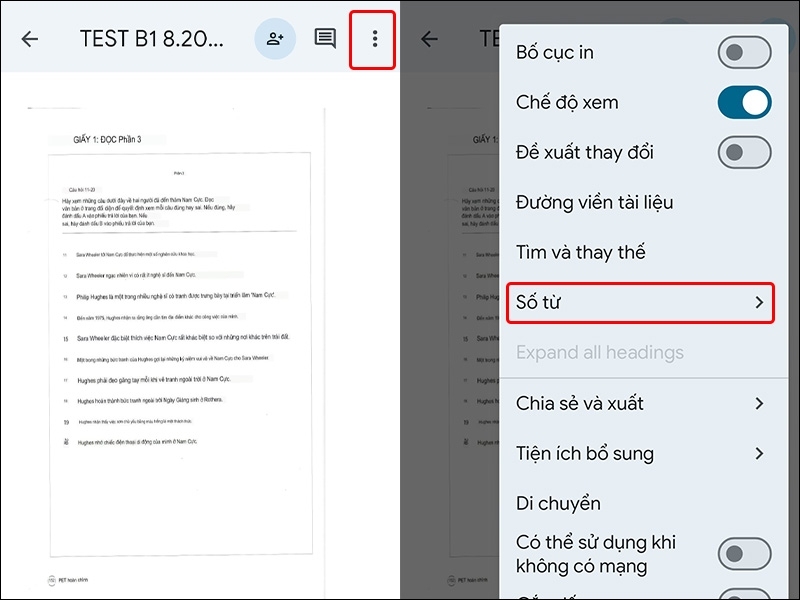Chỉ đếm trong vùng văn bản được chọn