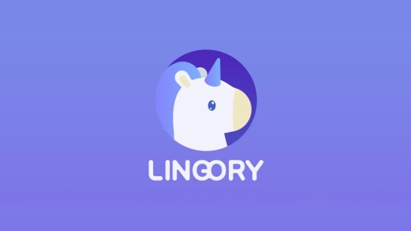 Lingory được tạo nên từ giáo viên người Hàn nhiều năm kinh nghiệm