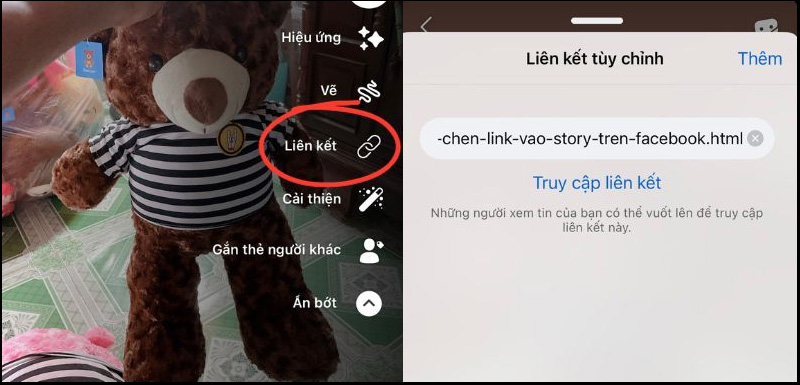 Dán URL của link cần chèn vào story Facebook