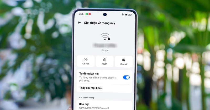 Xem mật khẩu WiFi trên OPPO Reno11 F