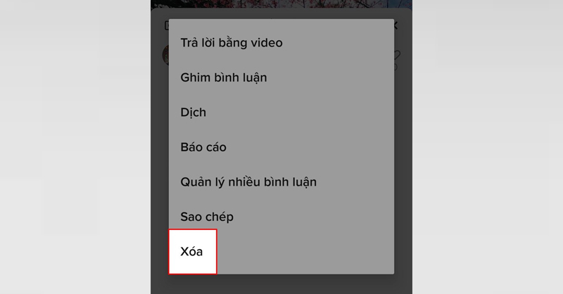 Xóa bình luận trên video Tiktok của người khác