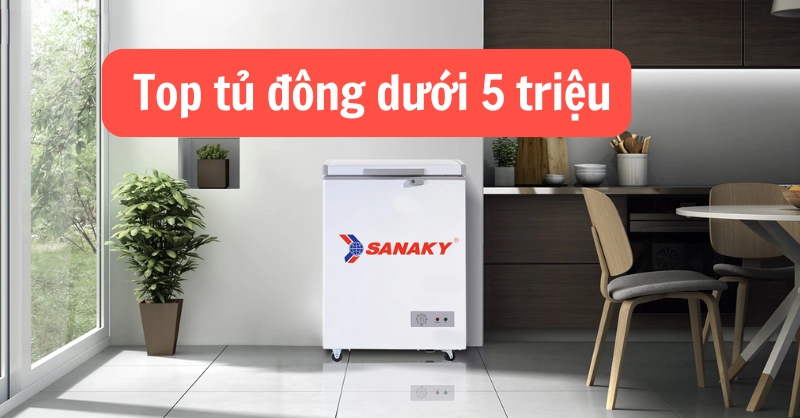 Chi phí dưới 5 triệu mua được tủ đông nào?