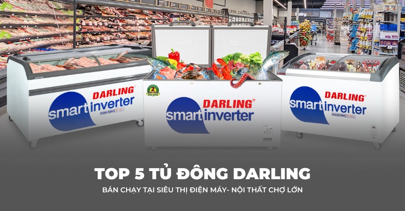 Top 5 tủ đông Darling bán chạy tại Siêu Thị Điện Máy - Nội Thất Chợ Lớn