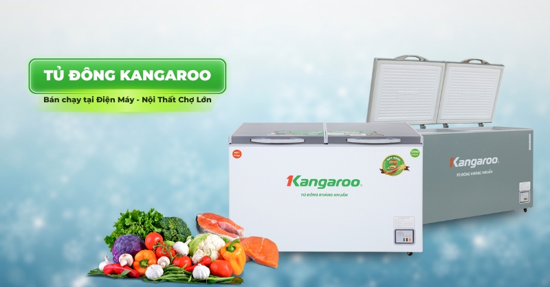 Top 4 tủ đông Kangaroo bán chạy tại Siêu Thị Điện Máy - Nội Thất Chợ Lớn