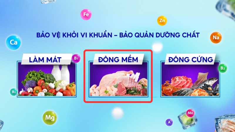 Tủ đông mềm bảo quản thực phẩm tối ưu