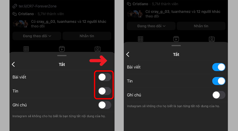 Gạt công tắc mục Bài viết và Tin sang bên phải để kích hoạt 2 tùy chọn này