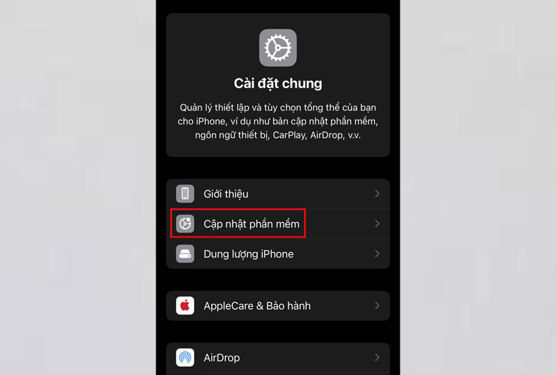 Nhấn vào mục Cập nhật phần mềm 